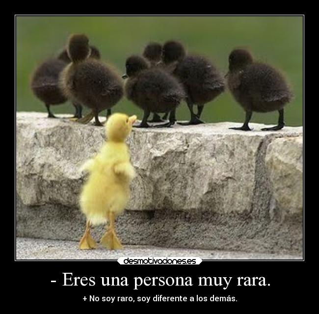 - Eres una persona muy rara. - 