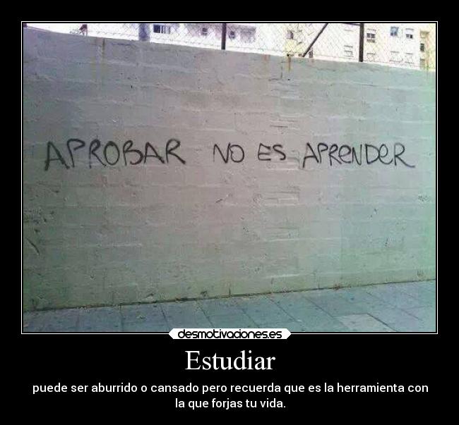 carteles vida estudiar universidad responsabilidad desmotivaciones