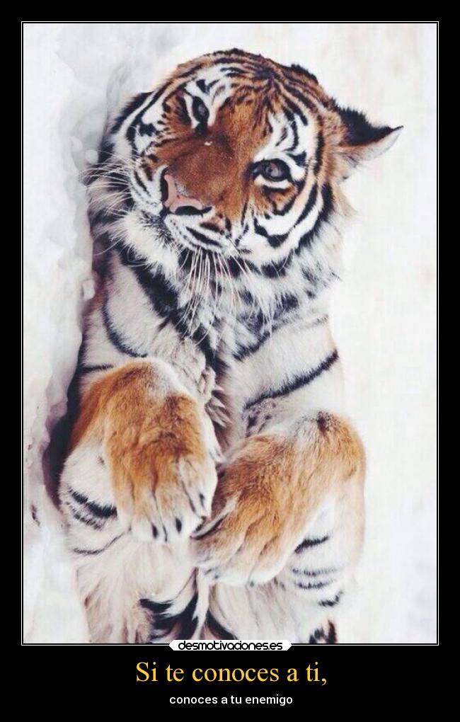 Si te conoces a ti, - conoces a tu enemigo