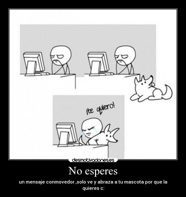 No esperes - un mensaje conmovedor ,solo ve y abraza a tu mascota por que la
quieres c:
