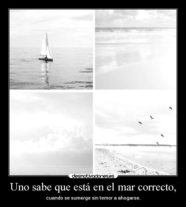 Uno sabe que está en el mar correcto, -