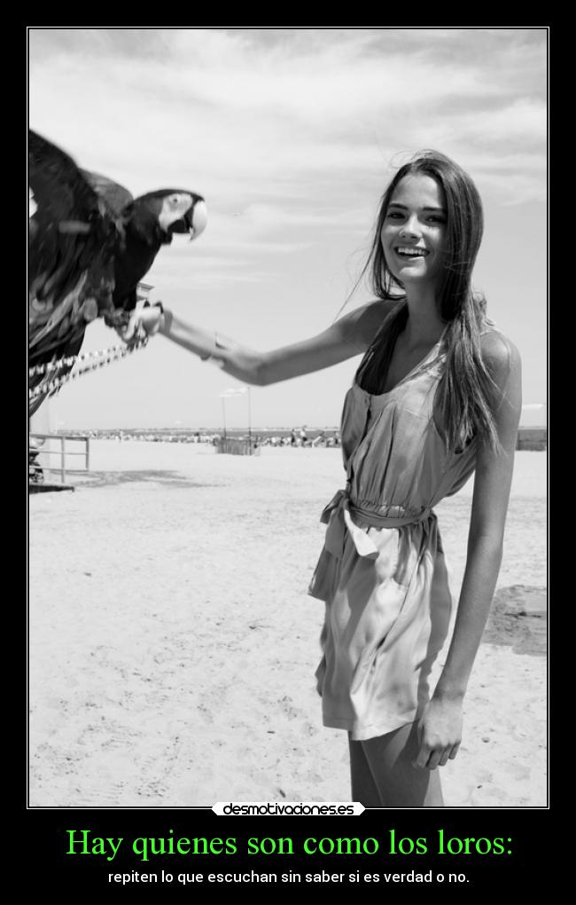Hay quienes son como los loros: - 
