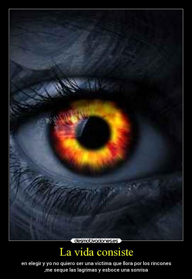 carteles vida llorar vida elegir sonreir desmotivaciones
