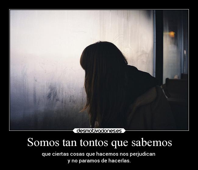 Somos tan tontos que sabemos -