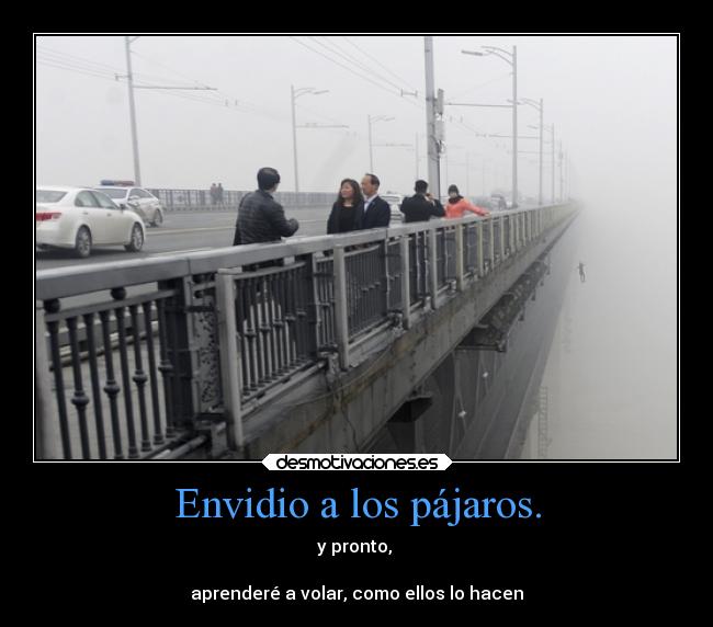 Envidio a los pájaros. - y pronto,
aprenderé a volar, como ellos lo hacen