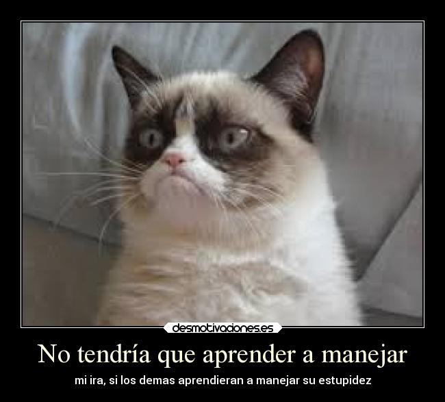 carteles vida nekos desmotivaciones