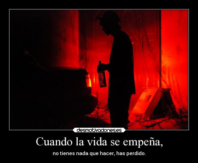 carteles vida vida pekenocaos desmotivaciones