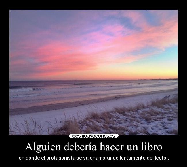 Alguien debería hacer un libro - 