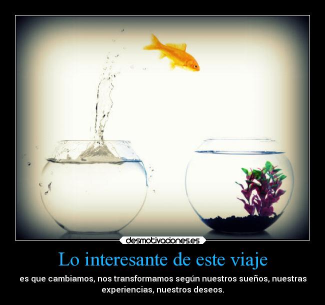 Lo interesante de este viaje -