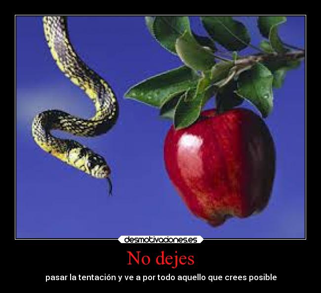 No dejes -