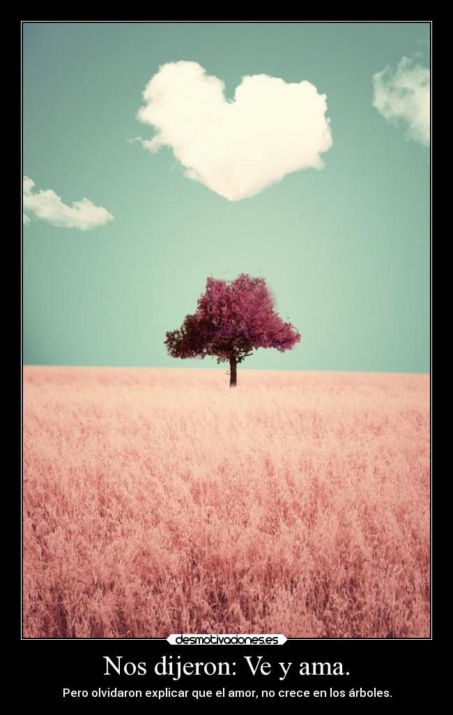 carteles vida sentimientos problemas naturaleza desmotivaciones corazon ausencia amor alma delolvido desmotivaciones