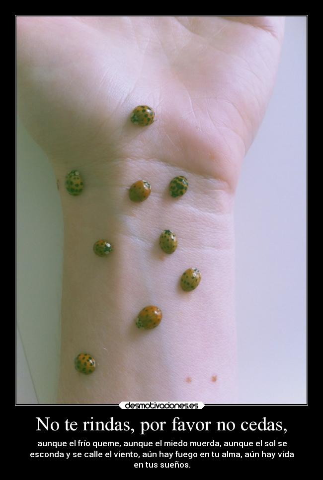 No te rindas, por favor no cedas, -