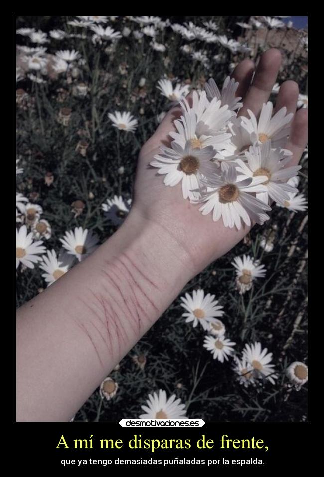 A mí me disparas de frente, - que ya tengo demasiadas puñaladas por la espalda.