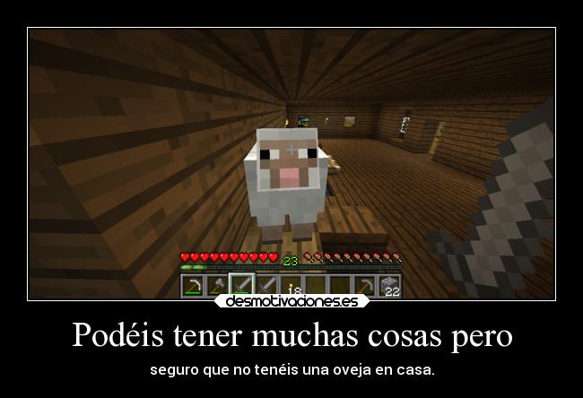 Podéis tener muchas cosas pero - seguro que no tenéis una oveja en casa.