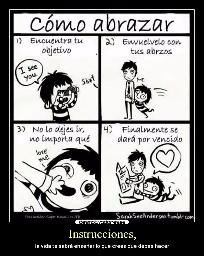 Instrucciones, - la vida te sabrá enseñar lo que crees que debes hacer