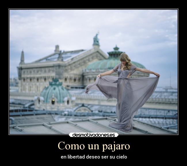 Como un pajaro - en libertad deseo ser su cielo