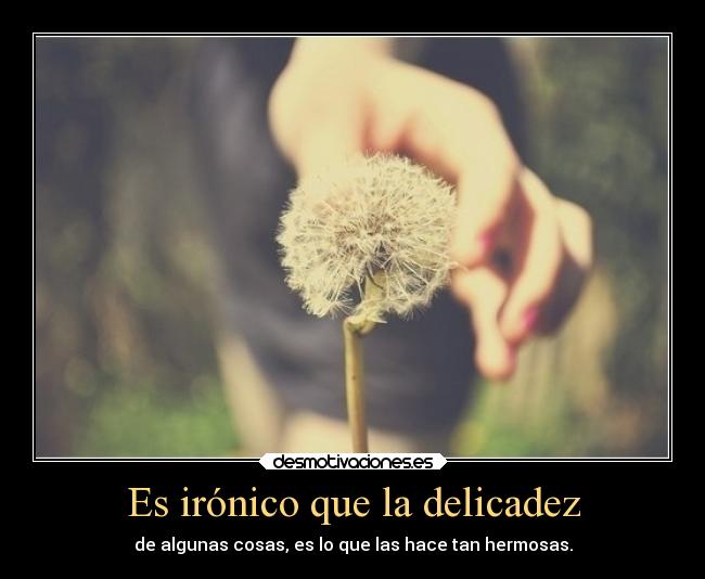 Es irónico que la delicadez -