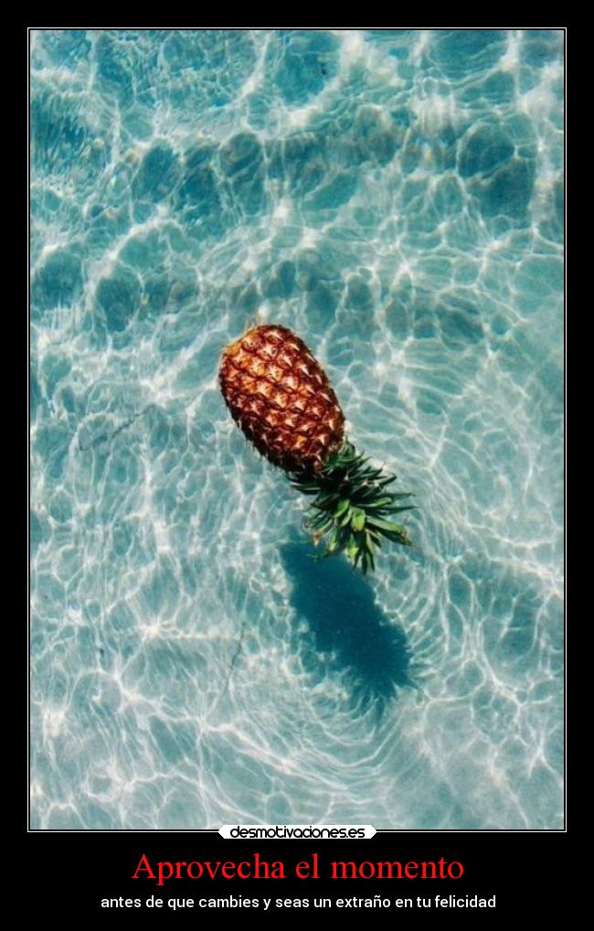 Aprovecha el momento - 