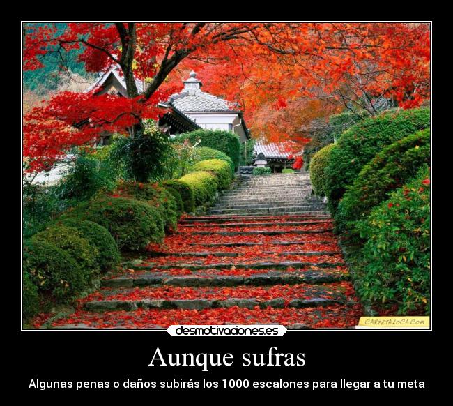 Aunque sufras - Algunas penas o daños subirás los 1000 escalones para llegar a tu meta