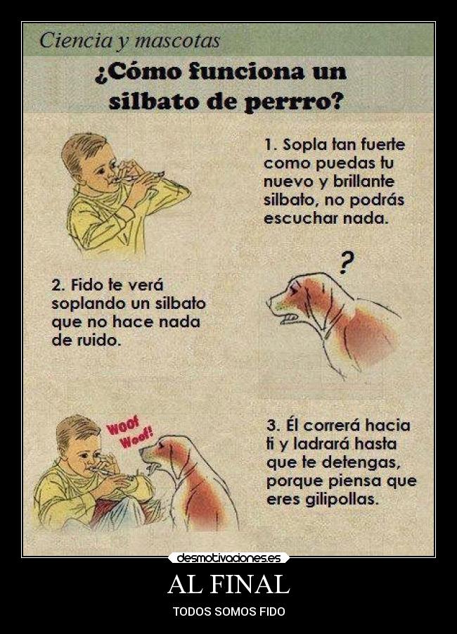 AL FINAL - TODOS SOMOS FIDO