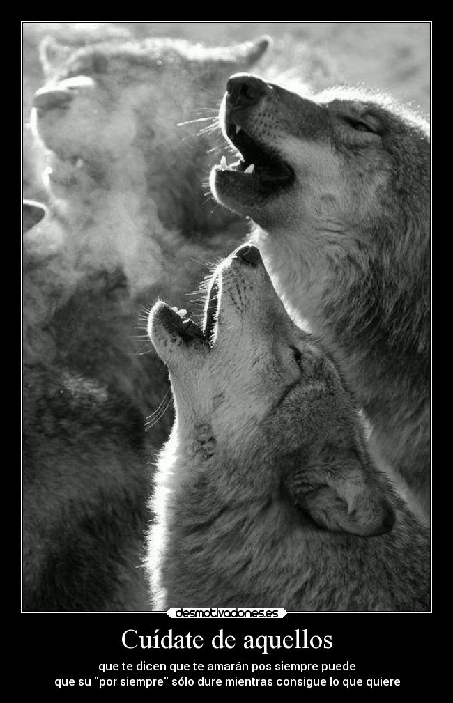 Cuídate de aquellos - que te dicen que te amarán pos siempre puede
que su por siempre sólo dure mientras consigue lo que quiere