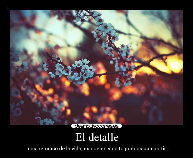 El detalle - más hermoso de la vida, es que en vida tu puedas compartir.