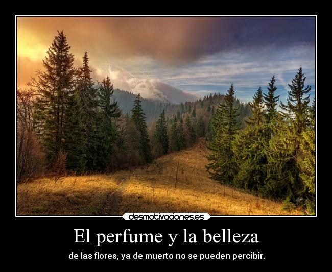 El perfume y la belleza - de las flores, ya de muerto no se pueden percibir.