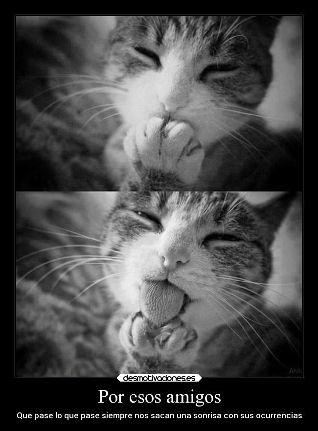 Por esos amigos - 