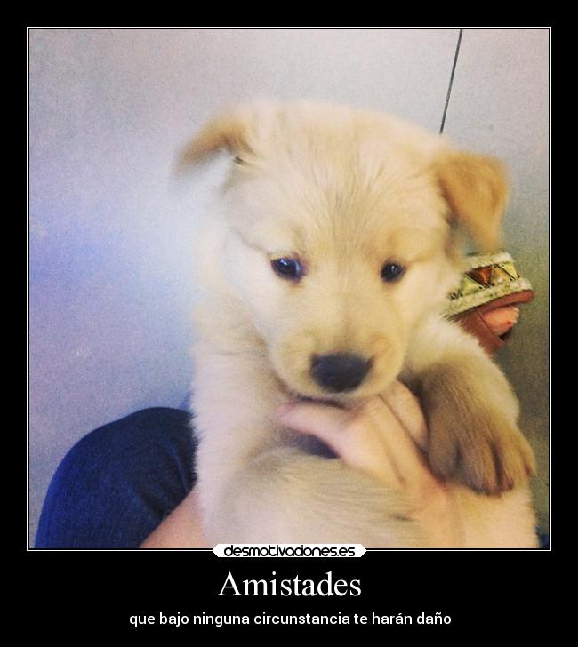 Amistades -