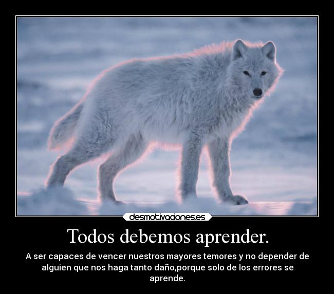 carteles amigos desmotivaciones