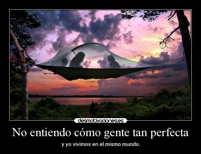 No entiendo cómo gente tan perfecta -
