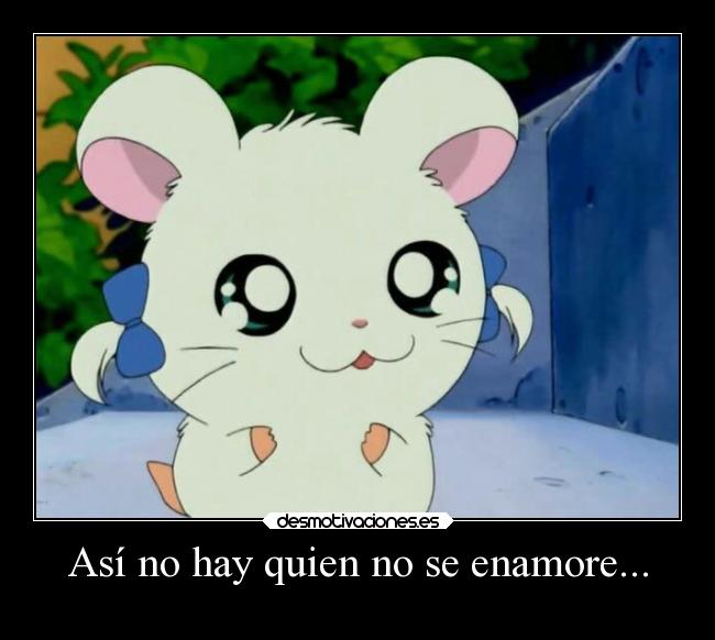 Así no hay quien no se enamore... - 