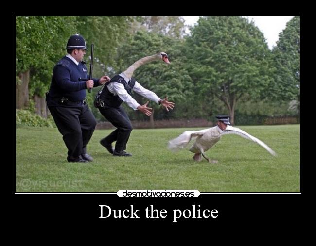 Duck the police - 