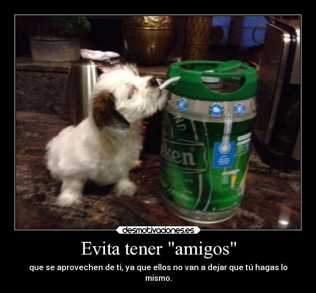 Evita tener amigos - que se aprovechen de ti, ya que ellos no van a dejar que tú hagas lo
mismo.