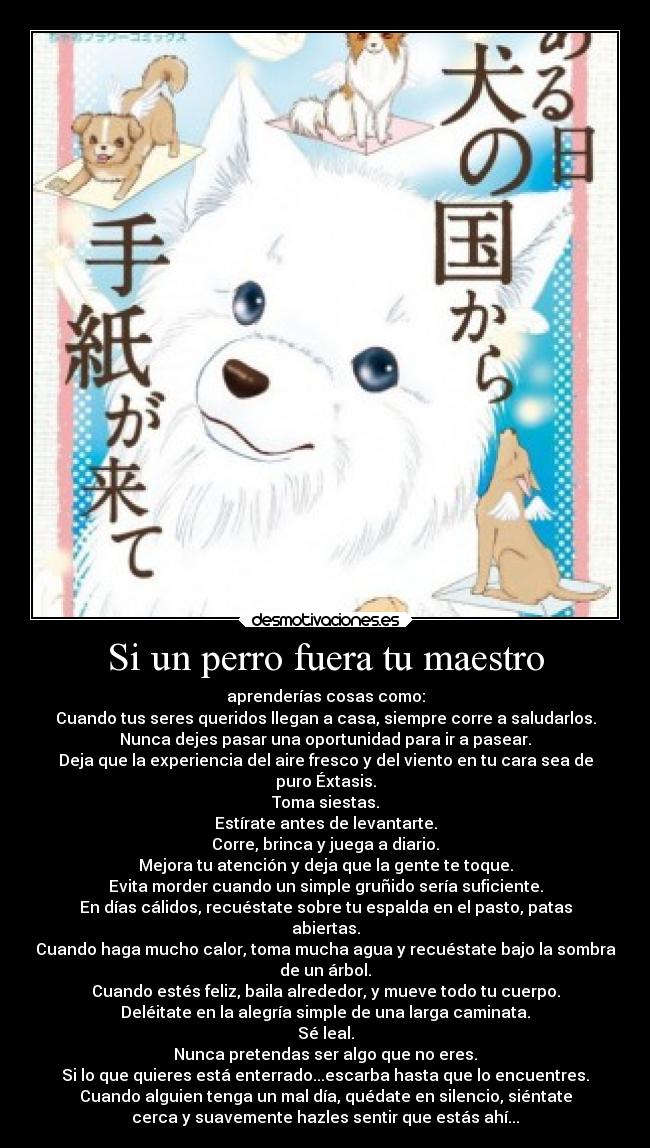 Si un perro fuera tu maestro - aprenderías cosas como:
Cuando tus seres queridos llegan a casa, siempre corre a saludarlos.
Nunca dejes pasar una oportunidad para ir a pasear.
Deja que la experiencia del aire fresco y del viento en tu cara sea de
puro Éxtasis.
Toma siestas.
Estírate antes de levantarte.
Corre, brinca y juega a diario.
Mejora tu atención y deja que la gente te toque.
Evita morder cuando un simple gruñido sería suficiente.
En días cálidos, recuéstate sobre tu espalda en el pasto, patas
abiertas.
Cuando haga mucho calor, toma mucha agua y recuéstate bajo la sombra
de un árbol.
Cuando estés feliz, baila alrededor, y mueve todo tu cuerpo.
Deléitate en la alegría simple de una larga caminata.
Sé leal.
Nunca pretendas ser algo que no eres.
Si lo que quieres está enterrado...escarba hasta que lo encuentres.
Cuando alguien tenga un mal día, quédate en silencio, siéntate
cerca y suavemente hazles sentir que estás ahí...