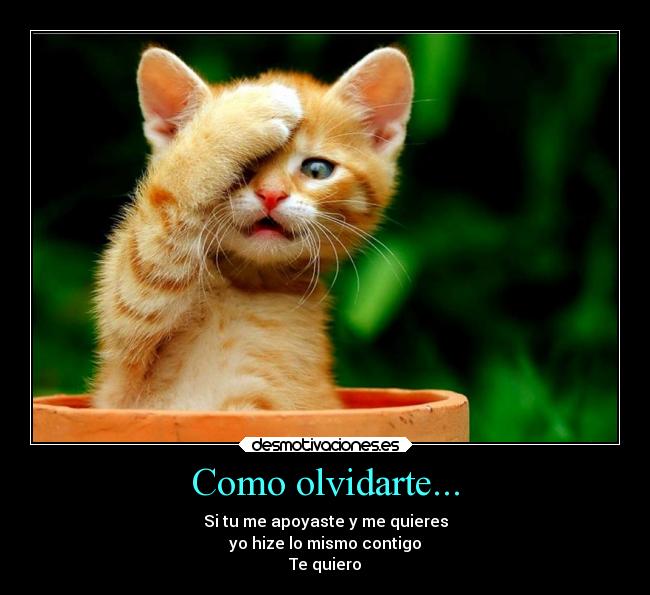 Como olvidarte... - 