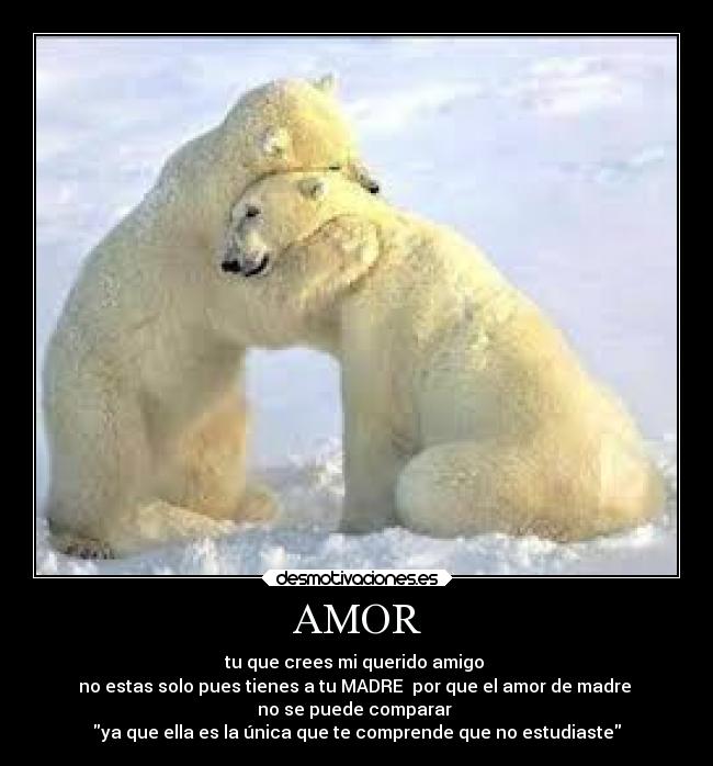 AMOR -