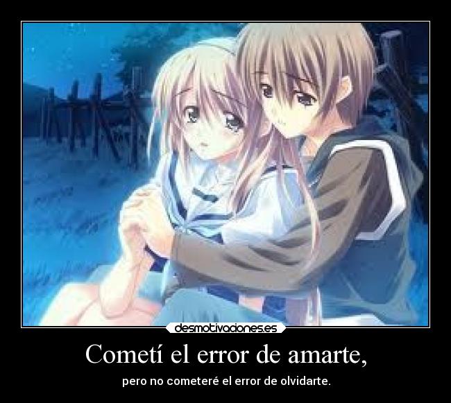 Cometí el error de amarte, - pero no cometeré el error de olvidarte.