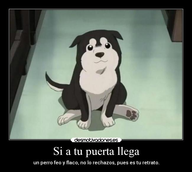 Si a tu puerta llega - un perro feo y flaco, no lo rechazos, pues es tu retrato.