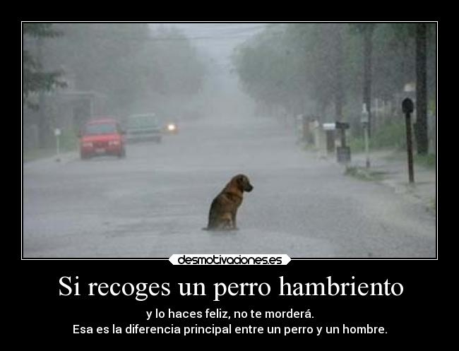 Si recoges un perro hambriento - y lo haces feliz, no te morderá.
Esa es la diferencia principal entre un perro y un hombre.