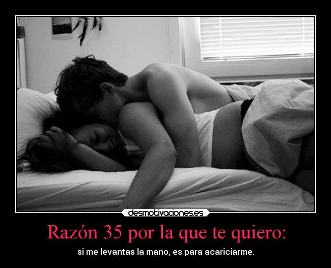Razón 35 por la que te quiero: - si me levantas la mano, es para acariciarme.