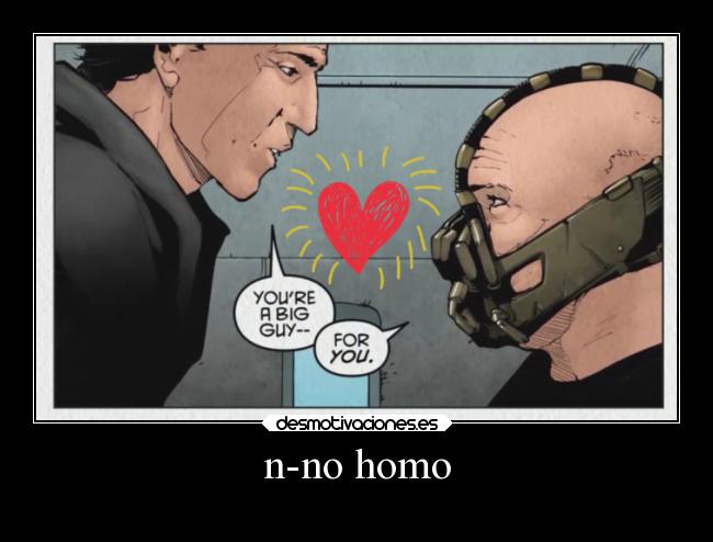 n-no homo -