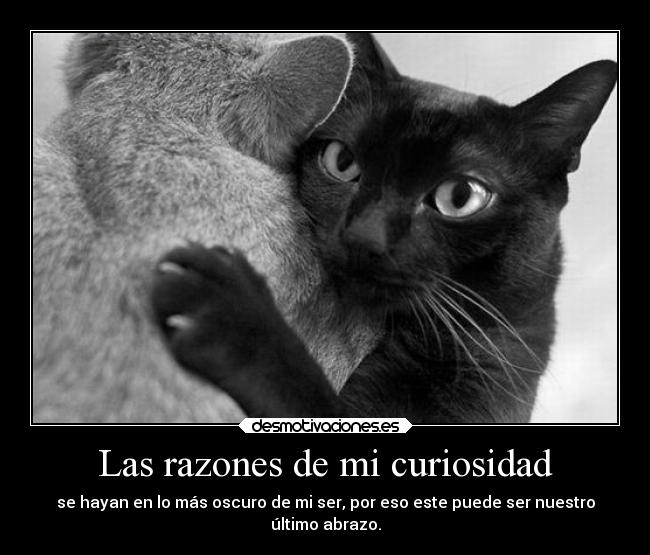 Las razones de mi curiosidad - 