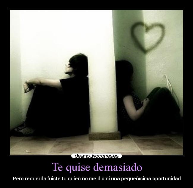 Te quise demasiado -