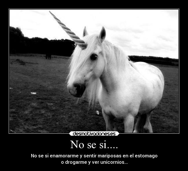 No se si.... - No se si enamorarme y sentir mariposas en el estomago
o drogarme y ver unicornios...