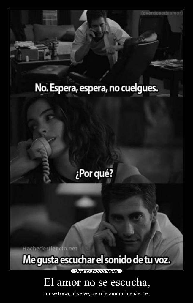 El amor no se escucha, - no se toca, ni se ve, pero le amor sí se siente.