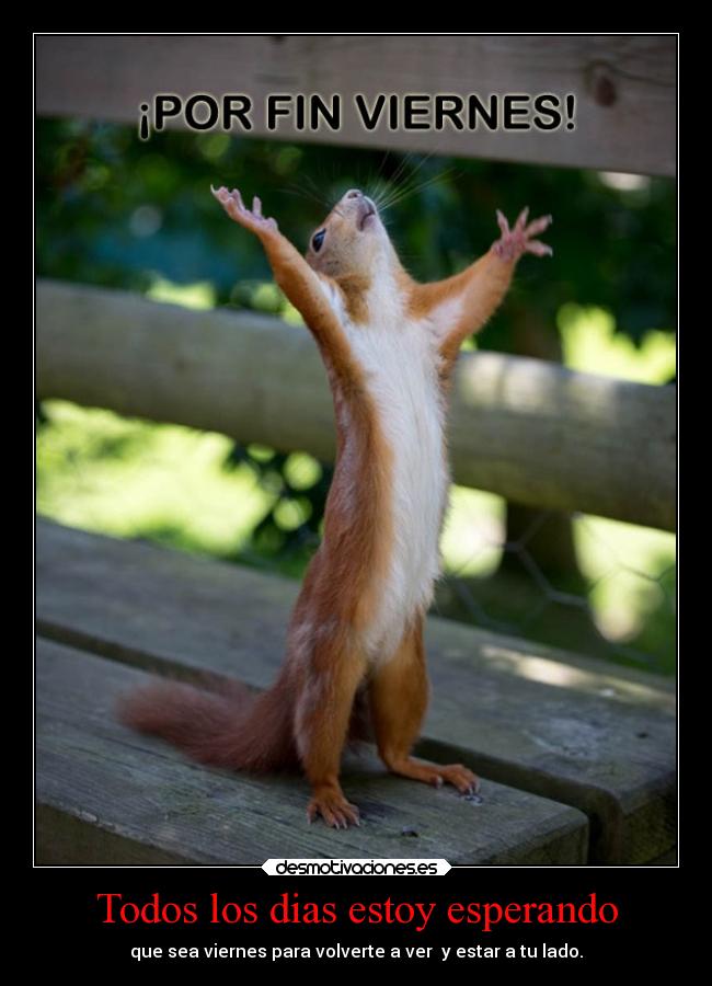 Todos los dias estoy esperando - que sea viernes para volverte a ver  y estar a tu lado.