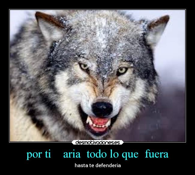 por ti aria todo lo que fuera -