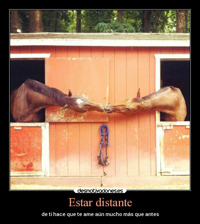 Estar distante -