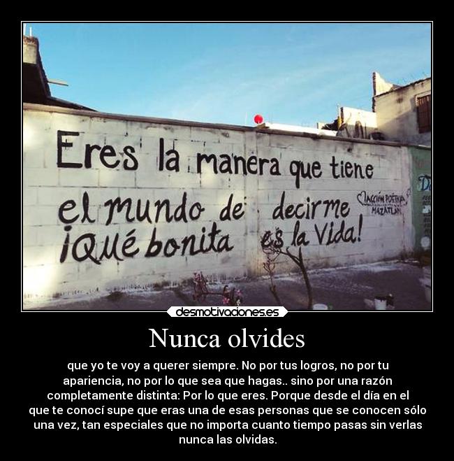 Nunca olvides - que yo te voy a querer siempre. No por tus logros, no por tu
apariencia, no por lo que sea que hagas.. sino por una razón
completamente distinta: Por lo que eres. Porque desde el día en el
que te conocí supe que eras una de esas personas que se conocen sólo
una vez, tan especiales que no importa cuanto tiempo pasas sin verlas
nunca las olvidas.